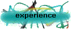 experience
