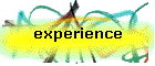 experience